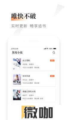 黑莓小说
