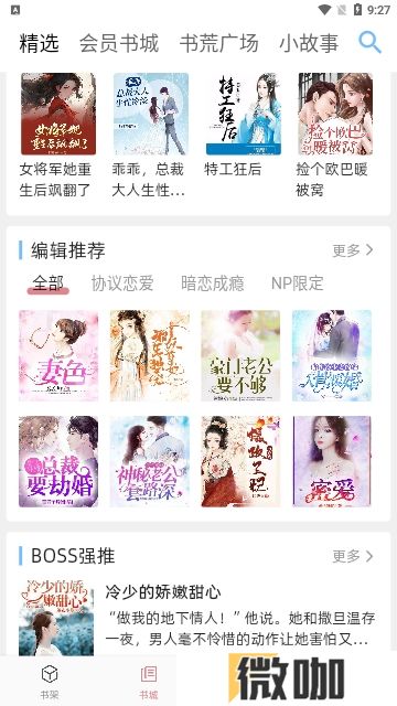 连情小说