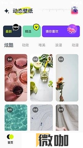 主题库精灵