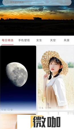 伞果壁纸