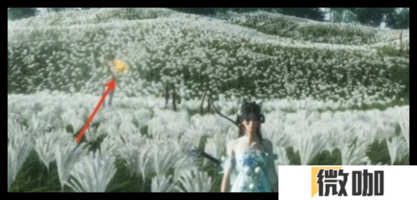 燕云十六声宝箱位置怎么显示