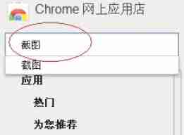 Google浏览器怎么截图_Google浏览器截图的方法