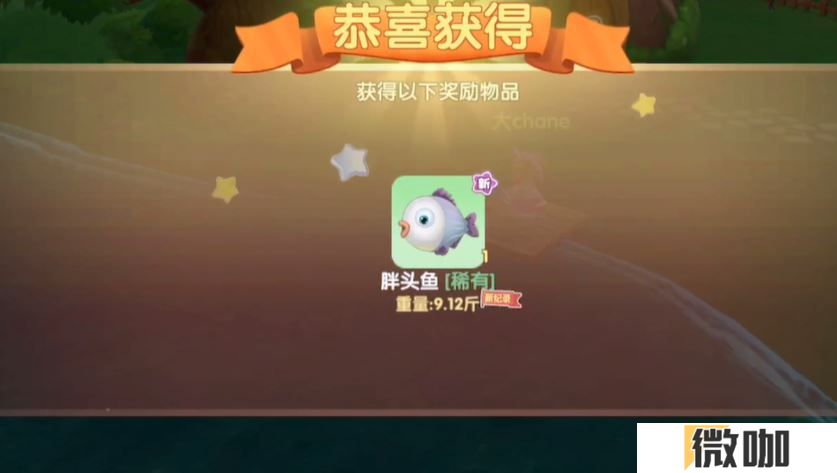 摩尔庄园不同的鱼在哪钓
