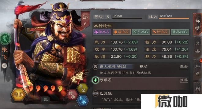 三国志战略版双虎枪怎么玩