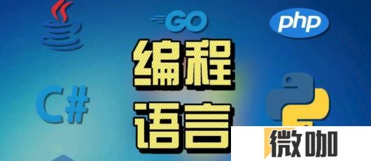 世界编程语言排行榜2025_世界编程语言前十有哪些?