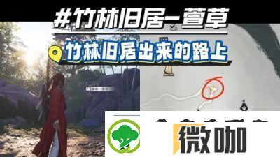 燕云十六声浣石浦猫咪全收集攻略【详解】