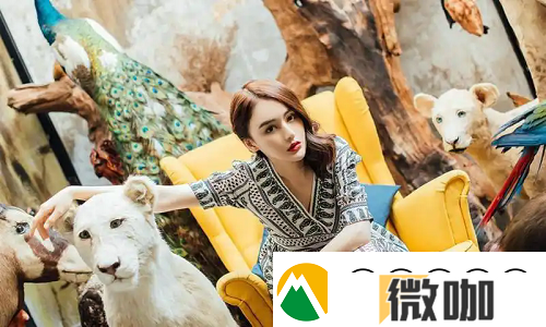成免费的CRM1688火了!功能全到爆小微企业直呼