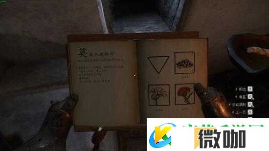 天国拯救健胃药剂全解析