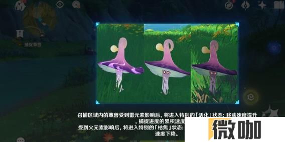 原神当中的蕈兽该怎么打