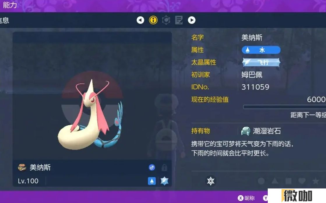 宝可梦朱紫六星太晶坑怎么打