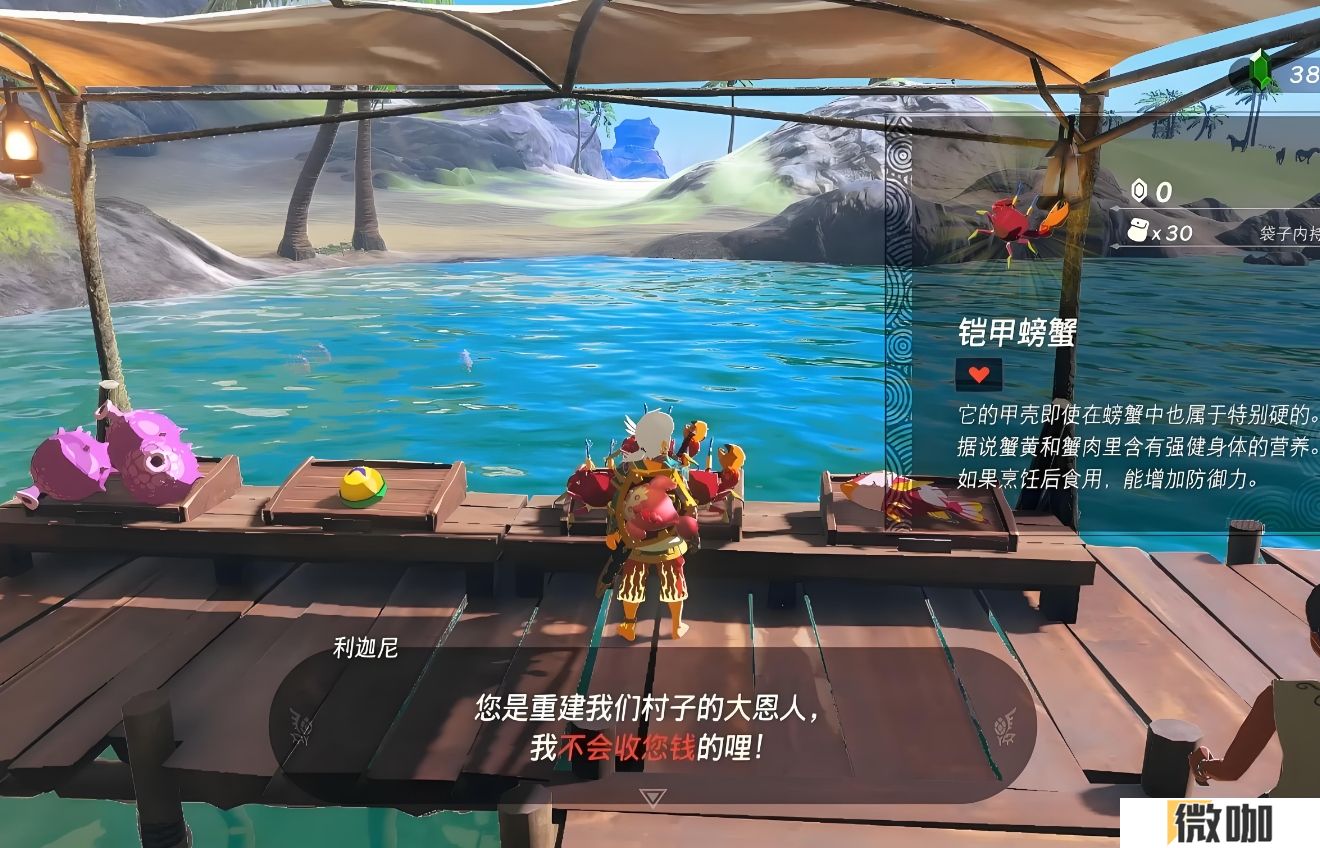 王国之泪沃托里村可以干嘛
