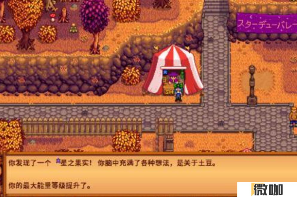 星露谷物语星之果实在哪里拿
