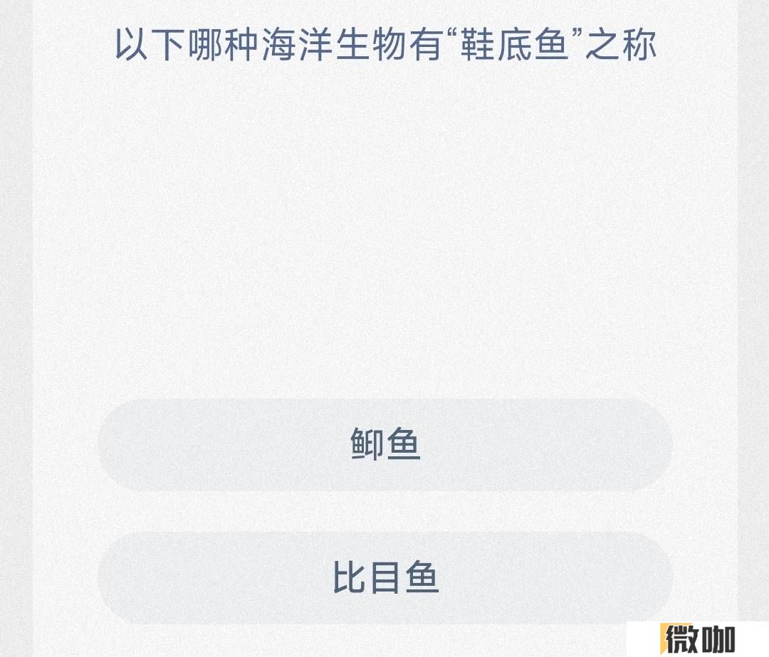 神奇海洋2024.11.7今日答案是什么