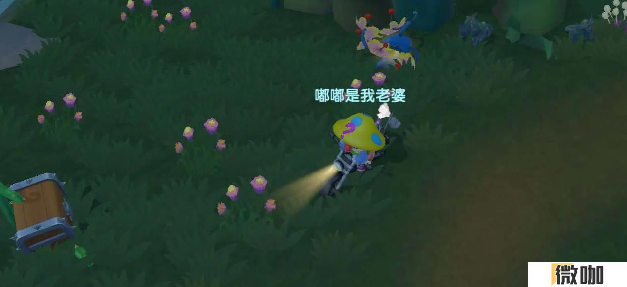 摩尔庄园黑森林攻略是什么
